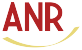 ANR Chartered Professional Accountants P.C. Inc.